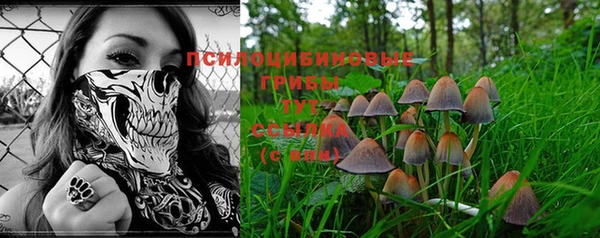 крисы Алексеевка