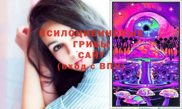 крисы Алексеевка